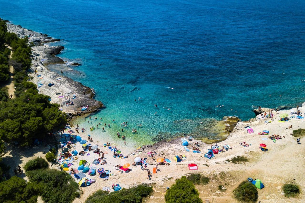 Lovely Istrian Apartment With A Private Swimming Pool And A Charming Garden Банджоле Экстерьер фото